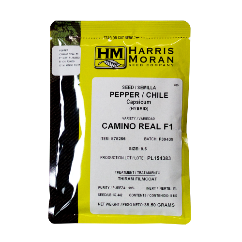 Chile Serrano Híbrido Camino Real Harris Moran